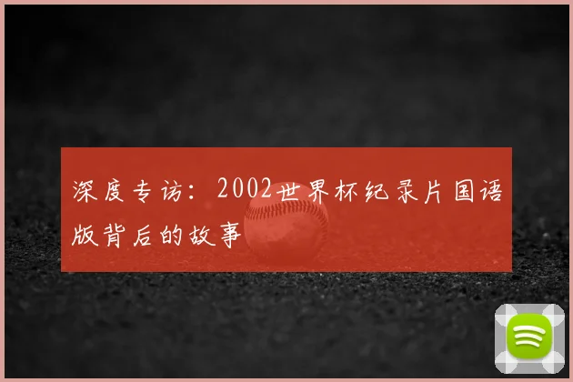 深度专访：2002世界杯纪录片国语版背后的故事
